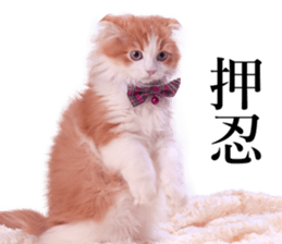 Qoo-chan3 sticker #14258007