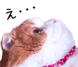 Qoo-chan3 sticker #14258008