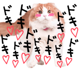 Qoo-chan3 sticker #14258011