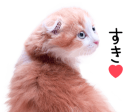 Qoo-chan3 sticker #14258012