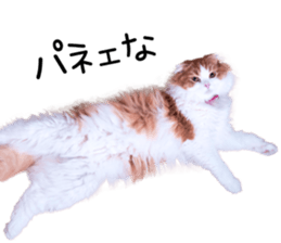 Qoo-chan3 sticker #14258015