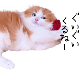 Qoo-chan3 sticker #14258016