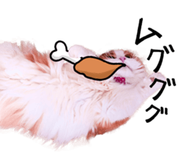 Qoo-chan3 sticker #14258020