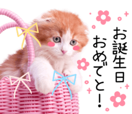 Qoo-chan3 sticker #14258022