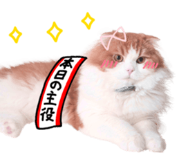 Qoo-chan3 sticker #14258023