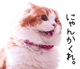 Qoo-chan3 sticker #14258024