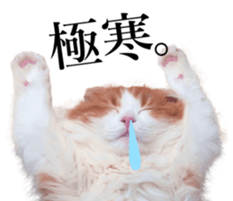 Qoo-chan3 sticker #14258026