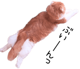 Qoo-chan3 sticker #14258029