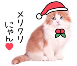 Qoo-chan3 sticker #14258030