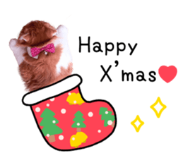 Qoo-chan3 sticker #14258031