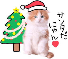 Qoo-chan3 sticker #14258032