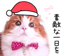 Qoo-chan3 sticker #14258033