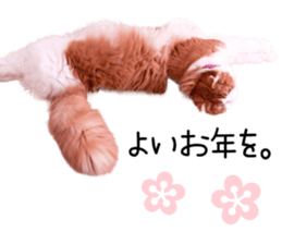 Qoo-chan3 sticker #14258036