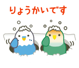 hatting Parakeet is Social good3 sticker #14259696