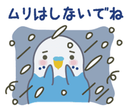 hatting Parakeet is Social good3 sticker #14259712