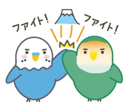 hatting Parakeet is Social good3 sticker #14259731