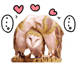 barn owl,lulu,belle,sue sticker #14259938