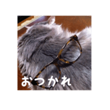 my cat Shizumi part3 sticker #14260118