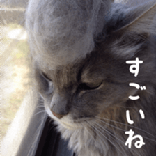 my cat Shizumi part3 sticker #14260132
