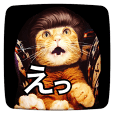 katsura cat sticker #14260227