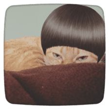 katsura cat sticker #14260228