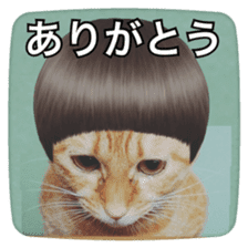 katsura cat sticker #14260229