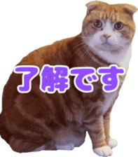 Bu-chan of a cat sticker #14263336