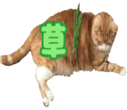 Bu-chan of a cat sticker #14263337