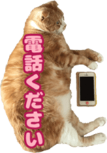 Bu-chan of a cat sticker #14263340