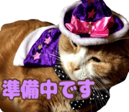 Bu-chan of a cat sticker #14263347