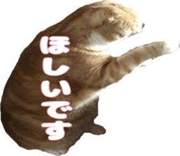 Bu-chan of a cat sticker #14263359