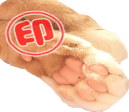 Bu-chan of a cat sticker #14263363