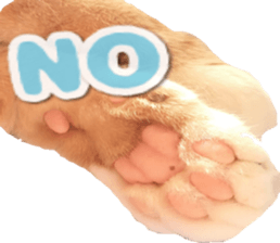 Bu-chan of a cat sticker #14263365