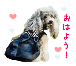 Real DOG Fashionable dog sticker #14263486