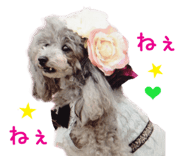 Real DOG Fashionable dog sticker #14263487