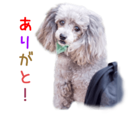 Real DOG Fashionable dog sticker #14263489