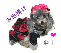 Real DOG Fashionable dog sticker #14263490