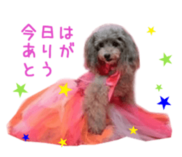 Real DOG Fashionable dog sticker #14263491