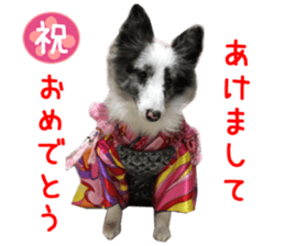 Real DOG Fashionable dog sticker #14263496