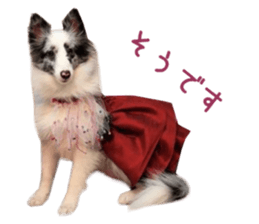 Real DOG Fashionable dog sticker #14263498