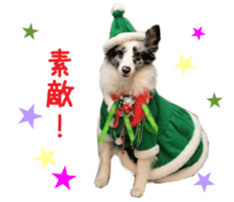 Real DOG Fashionable dog sticker #14263499