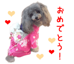 Real DOG Fashionable dog sticker #14263500