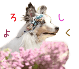 Real DOG Fashionable dog sticker #14263502