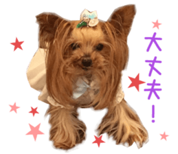 Real DOG Fashionable dog sticker #14263505