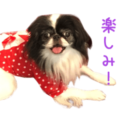Real DOG Fashionable dog sticker #14263506