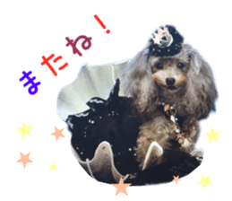 Real DOG Fashionable dog sticker #14263508