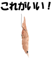 Nose sunglasses go fishing to the sea. sticker #14264054