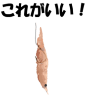 Nose sunglasses go fishing to the sea. sticker #14264054