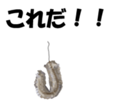 Nose sunglasses go fishing to the sea. sticker #14264056