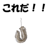 Nose sunglasses go fishing to the sea. sticker #14264056